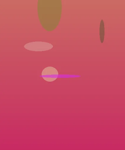 星空官网