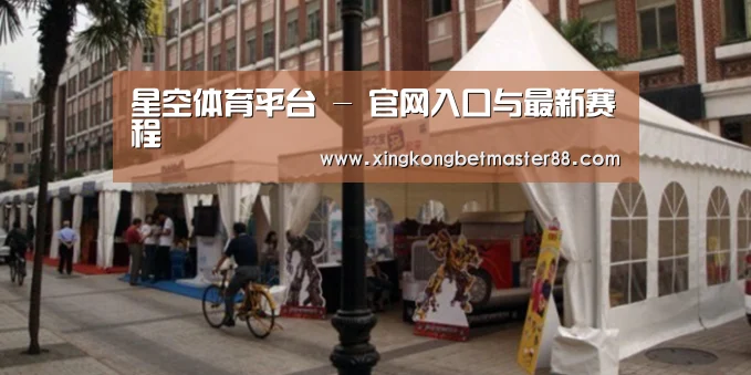 案例标题九(图1)