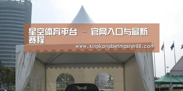 案例标题八