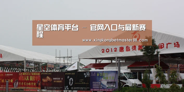案例标题十