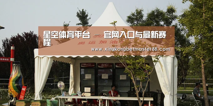 案例标题五