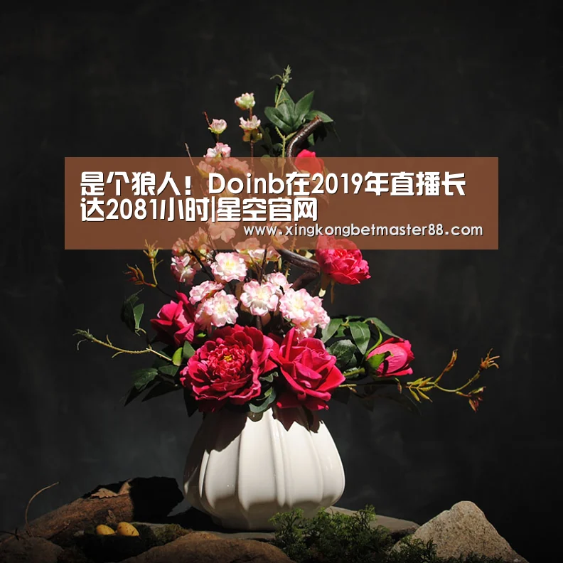 是个狼人！Doinb在2019年直播长达2081小时|星空官网
