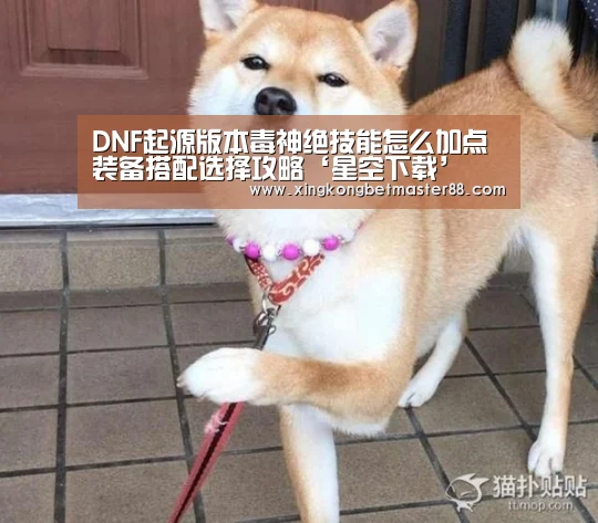 星空竞猜