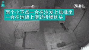 星空官网