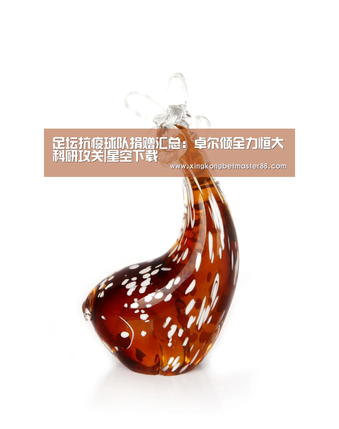 足坛抗疫球队捐赠汇总:卓尔倾全力恒大科研攻关|星空下载(图4) 星空电竞